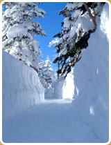 雪之回廊