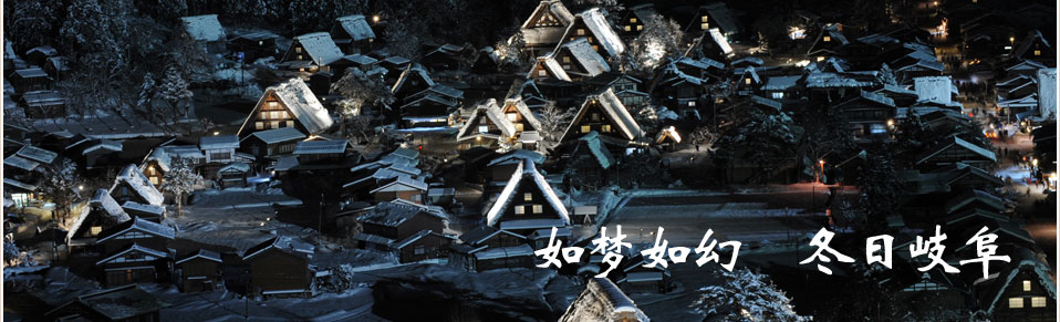 如梦如幻 冬日岐阜