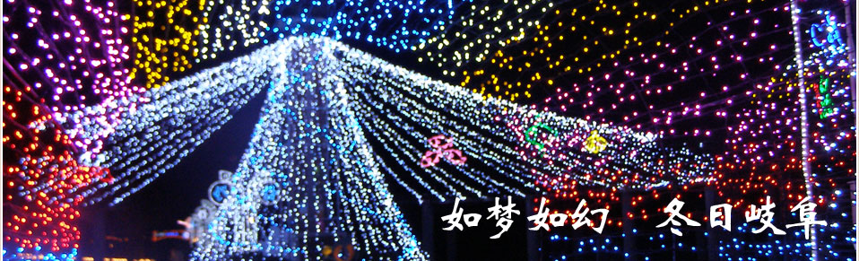 如梦如幻 冬日岐阜
