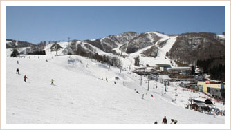 Dynaland&高鷲SNOWPARK